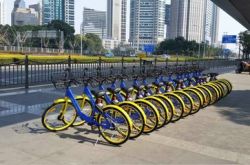8分钟科普!洛阳市咨询公司_哔哩哔哩-3